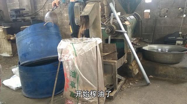 专家说农村自榨花生油不能吃,小伙公开榨油过程,专家不说话了