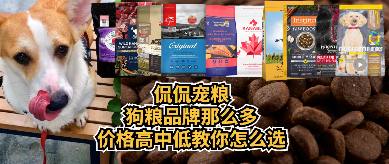 #侃侃宠粮#狗粮品牌那么多,价格高中低教你怎么选