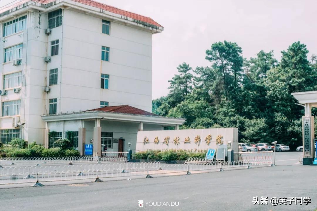 再见，我曾深深厌倦过的昌北