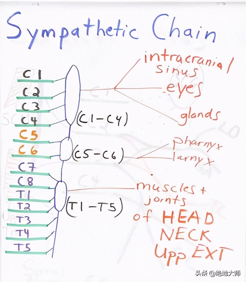手神经外伤康复视频,治疗手神经损伤的药