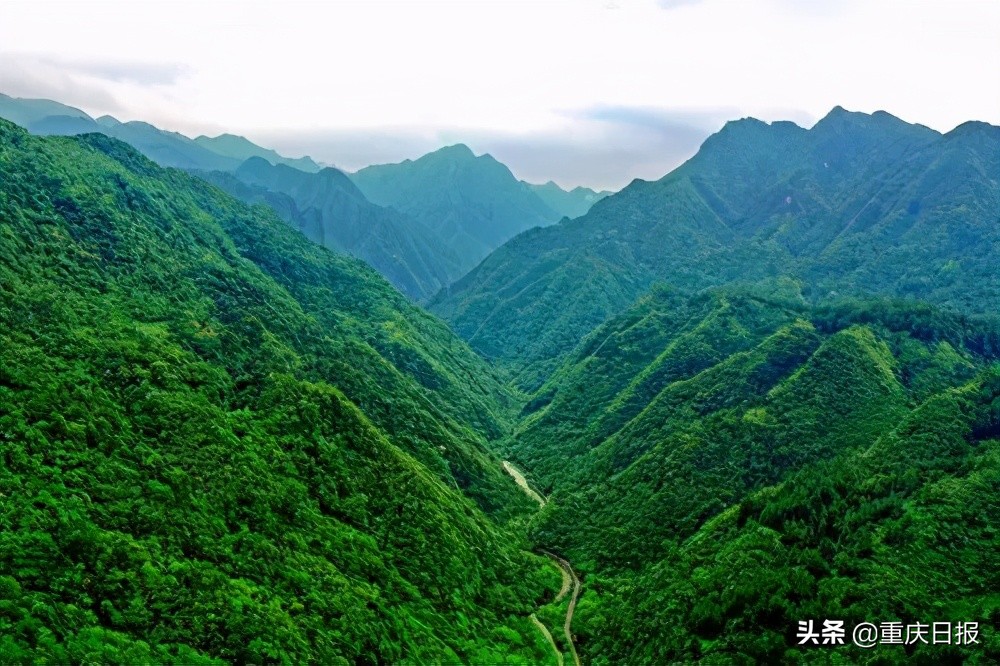 1月重庆乡村旅游景点攻略,重庆主城周边乡村游推荐