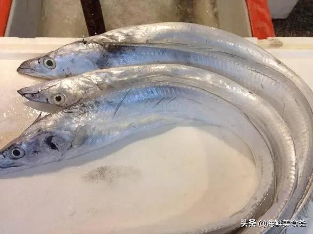 哪种海鱼最好养又便宜又好吃,便宜耐养的海鱼有哪些种类