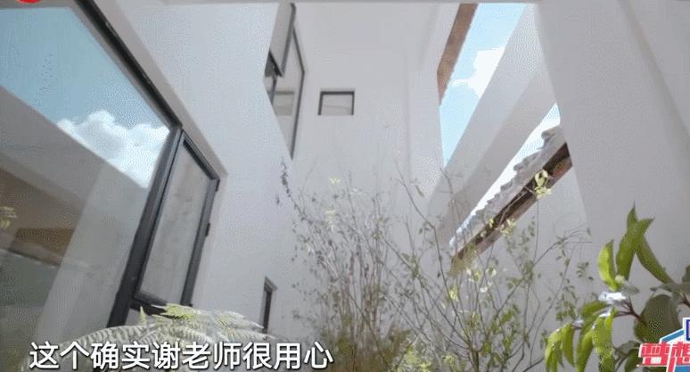 5位单身阿姨,抱团买房养老,520平189W装成山间别墅