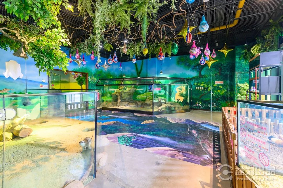 大连么么哒动物园 (大连小众动物园)