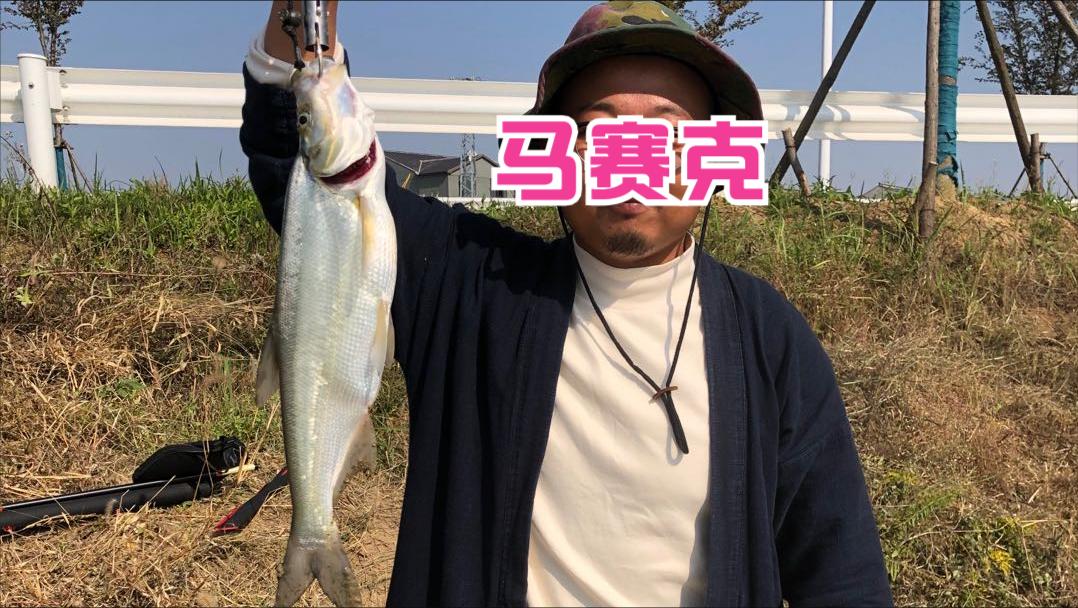 路亚钓鱼技巧新入门,路亚钓鱼进阶指南