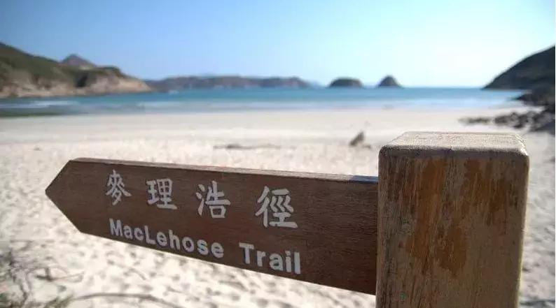 像彩色水果糖一样的香港，让人心动