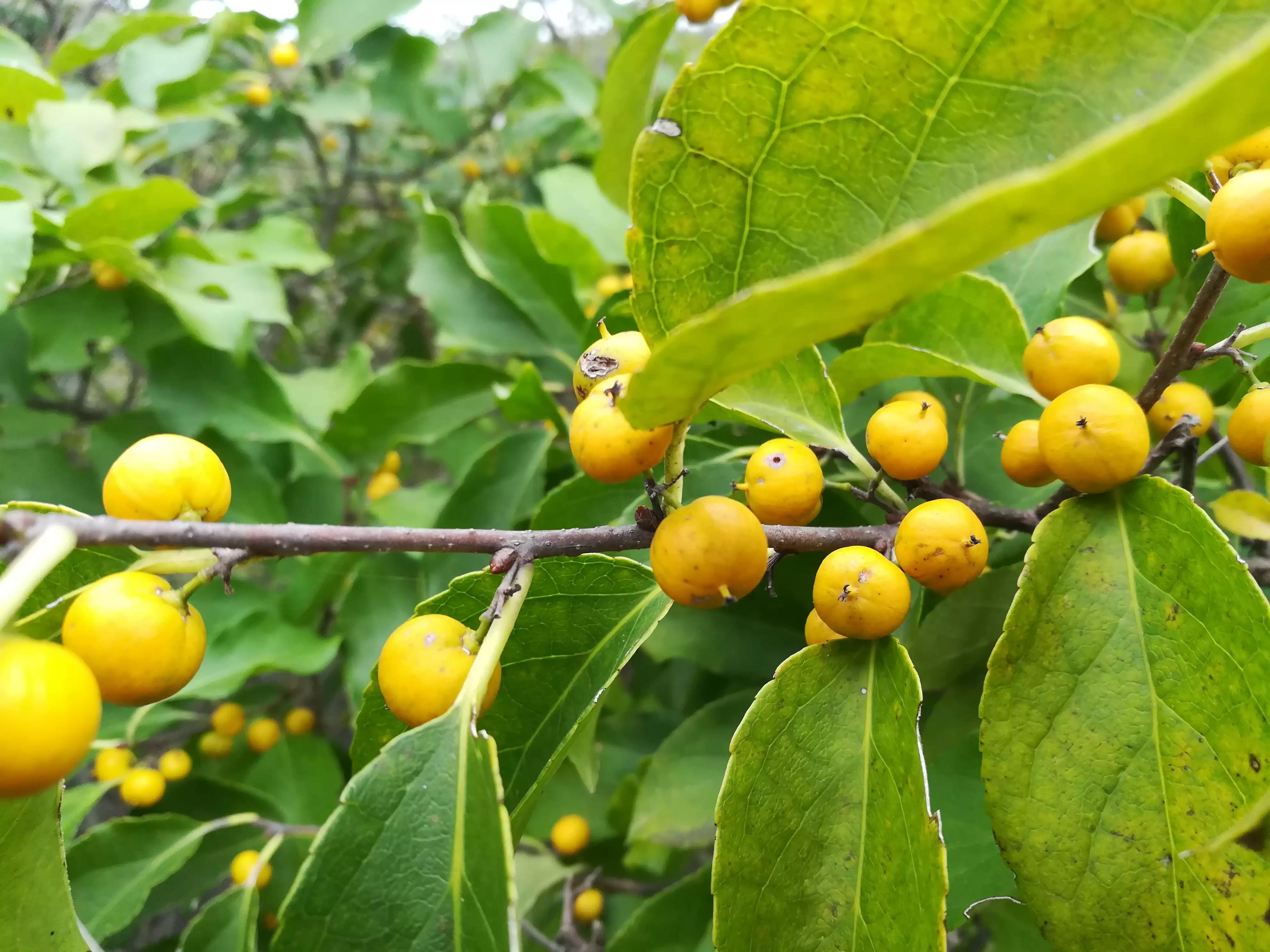 在村里工作有什么困难,在村里做事有意思吗