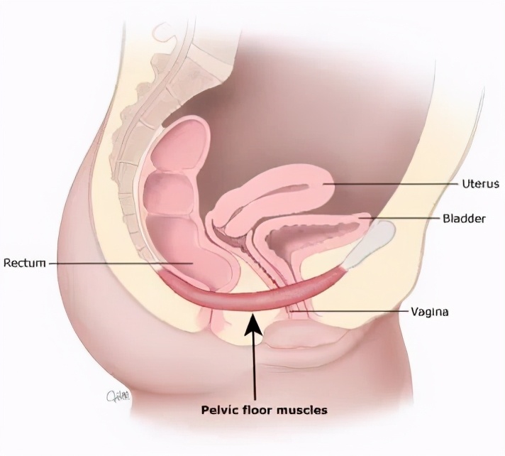 浜у悗淇椤圭洰鏈夊摢浜涘潙,浜у悗淇鐨勫崄澶у潙