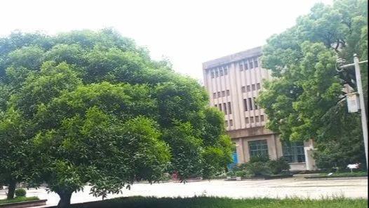 2022名校巡礼,名校巡礼大盘点