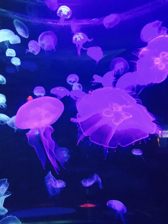 合肥旅游最值得去的哪几个地点,安徽合肥值得旅游的地方