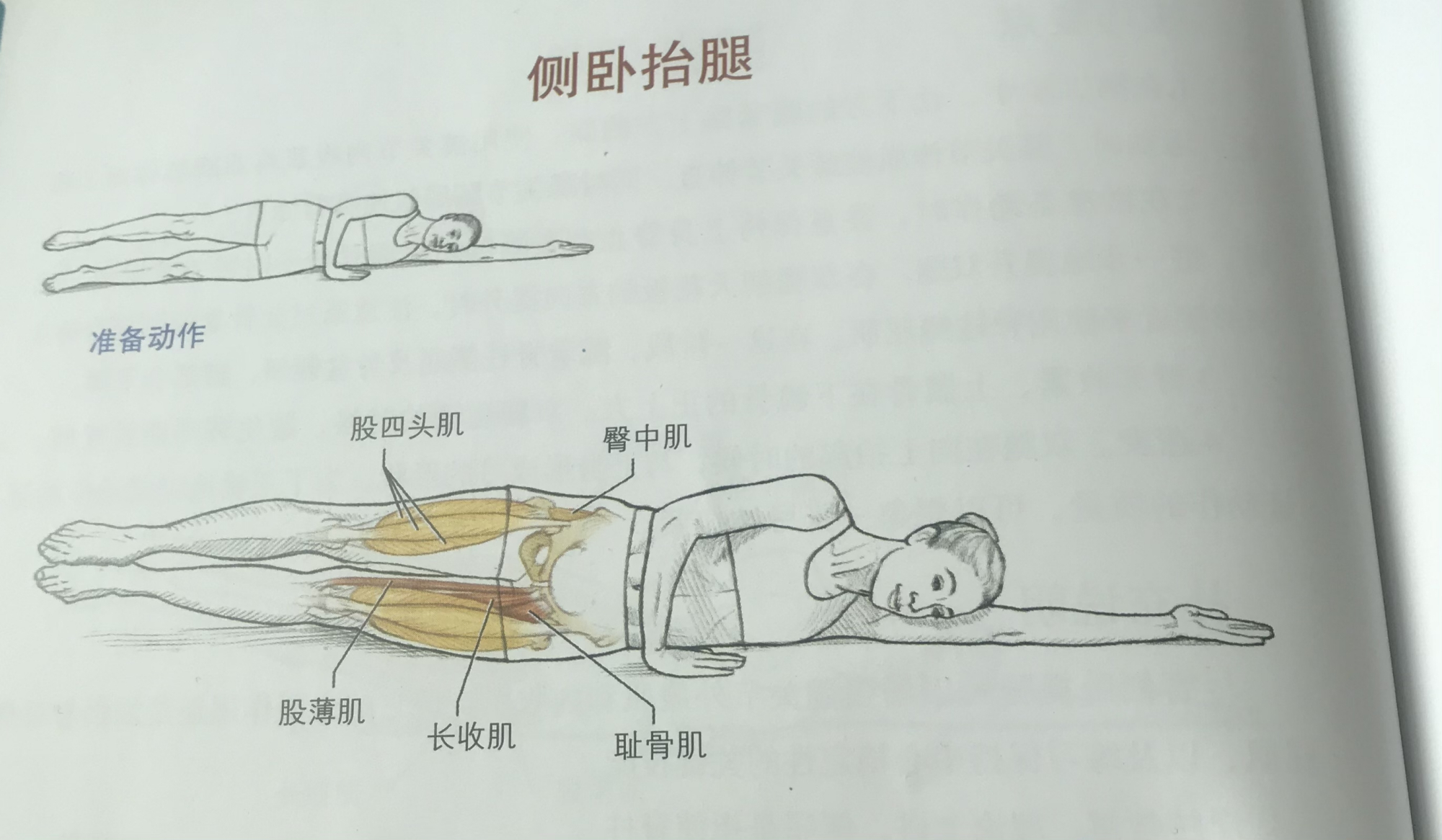 大腿根粗应该练后侧还是内侧,大腿前侧突出躺着练