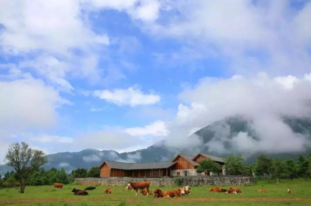 寻找失踪的学者为什么找不到,寻找消失的学者在哪
