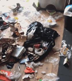 哈士奇拆家的能力到底有多强,二哈拆家和哈士奇拆家谁更厉害