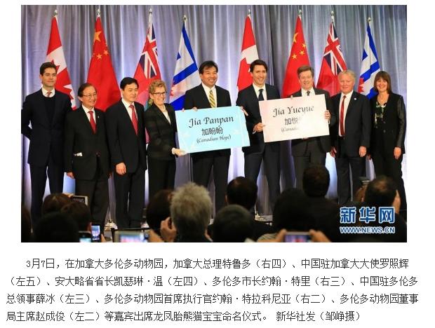 海狸是加拿大的国宝吗,加拿大国宝动物河狸简介