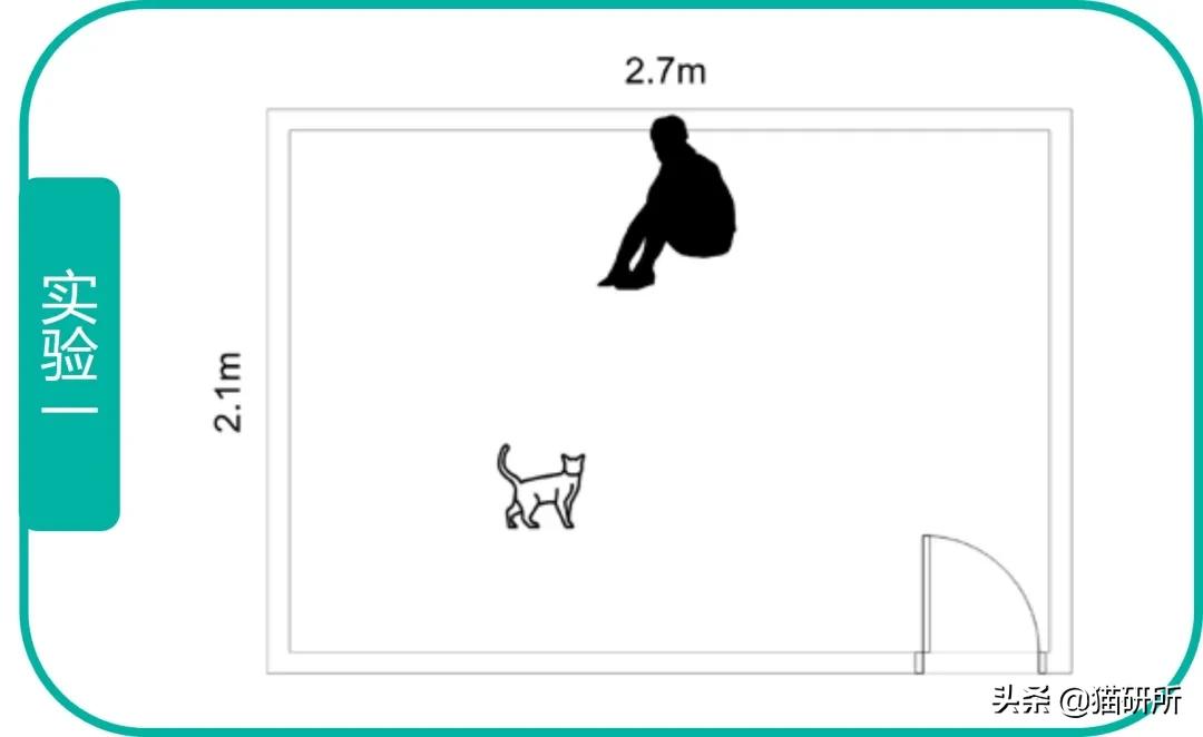 如果一直盯着时间看会发生什么,为啥不能盯着猫咪的眼睛看
