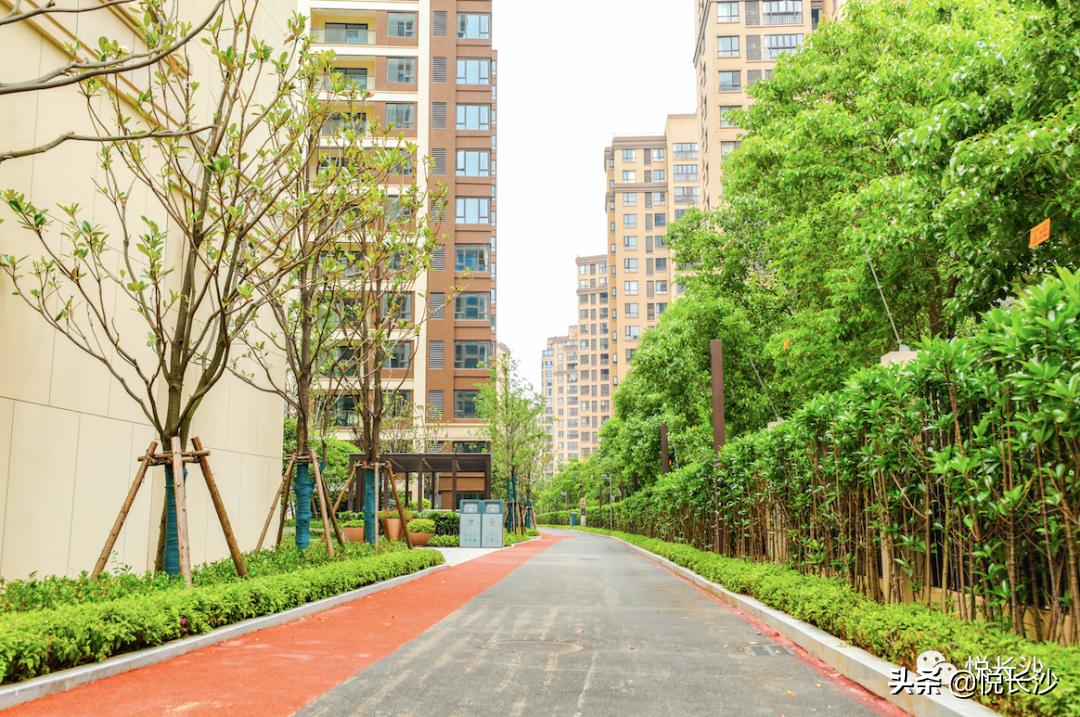 同价位，选精装现房or毛坯期房？还有德思勤商圈加持，近青园小学