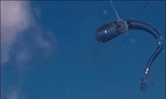 神奇的“蝌蚪”,被*弹子**击中碎的是*弹子**,手指一捏却瞬间爆裂