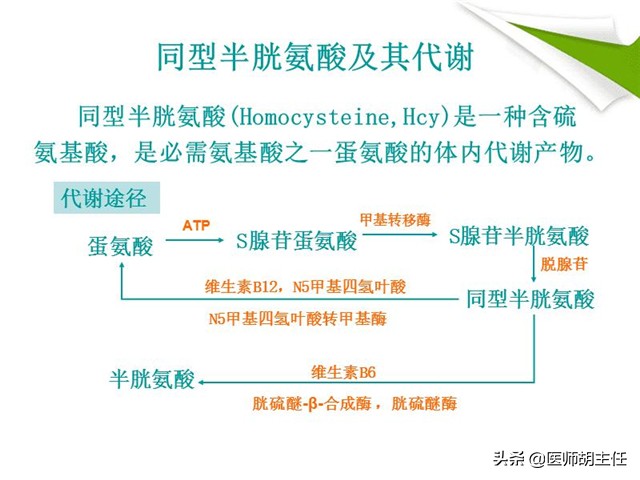 80岁老人同型半胱氨酸高怎么办,同型半胱氨酸高的原因中老年人