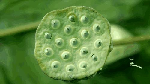 一分钟带你了解武汉,3分钟了解武汉