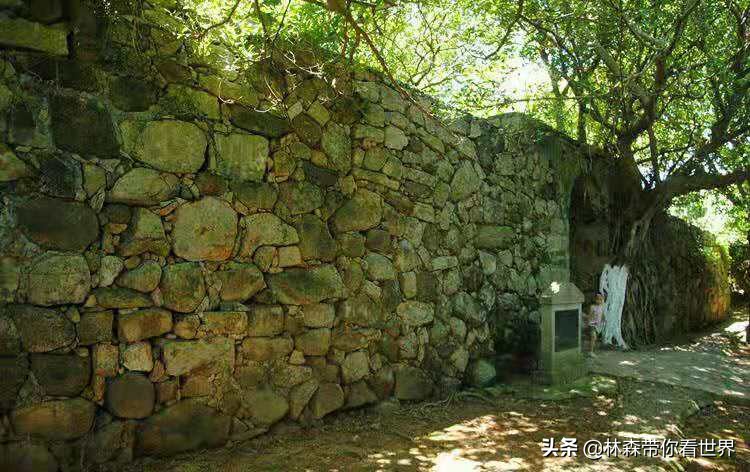 林森带你看世界——中国最美的海岛之：珠海东澳岛