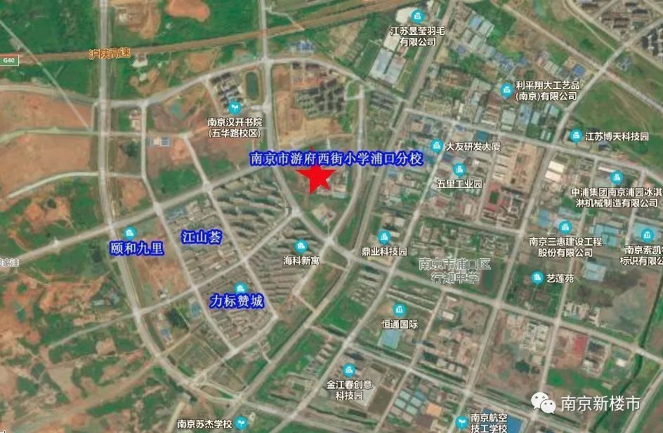 南京最新学区划分公布,南京最好的学区划分