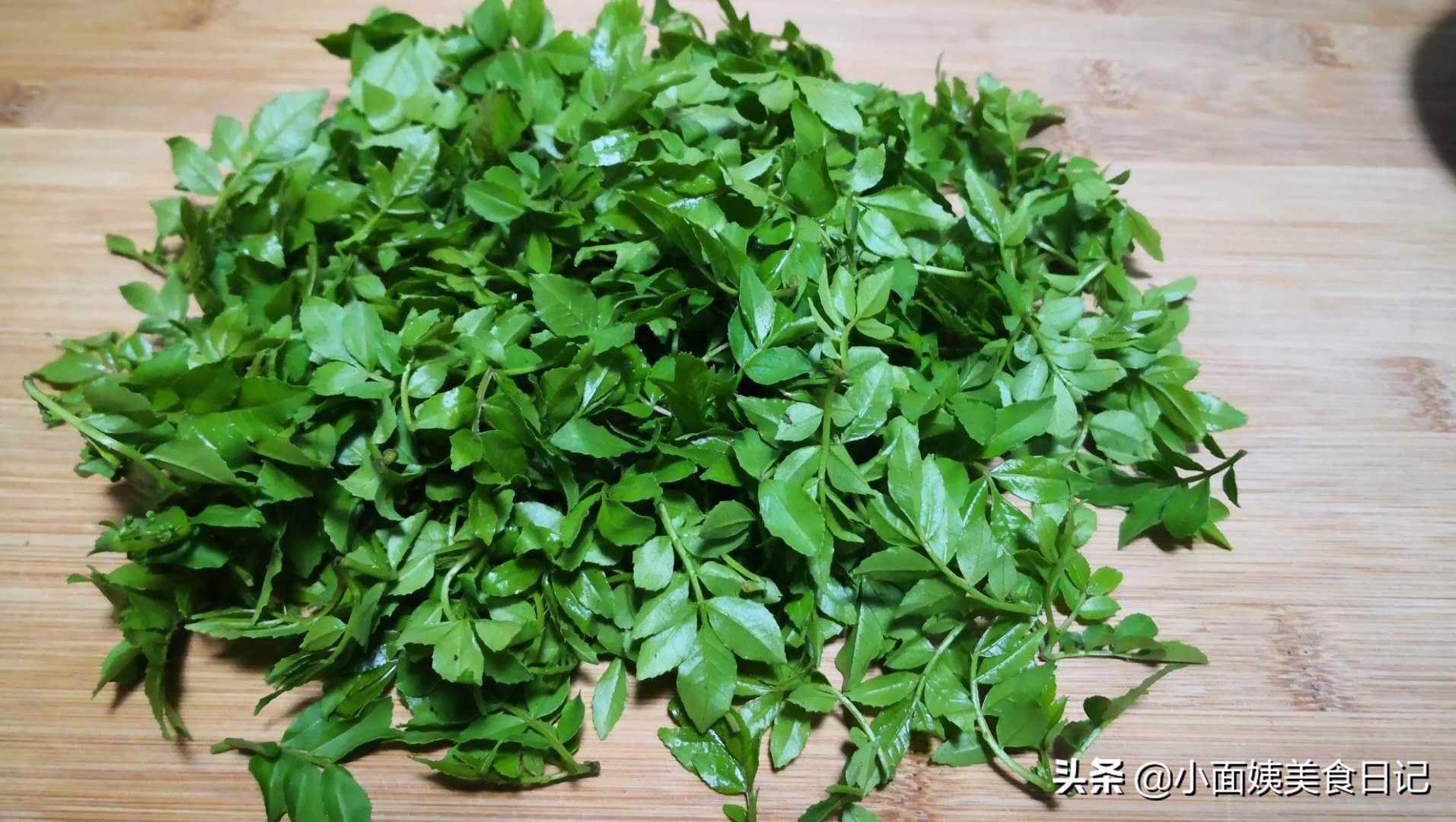 采摘花椒妙招,摘花椒前椒芽怎么处理