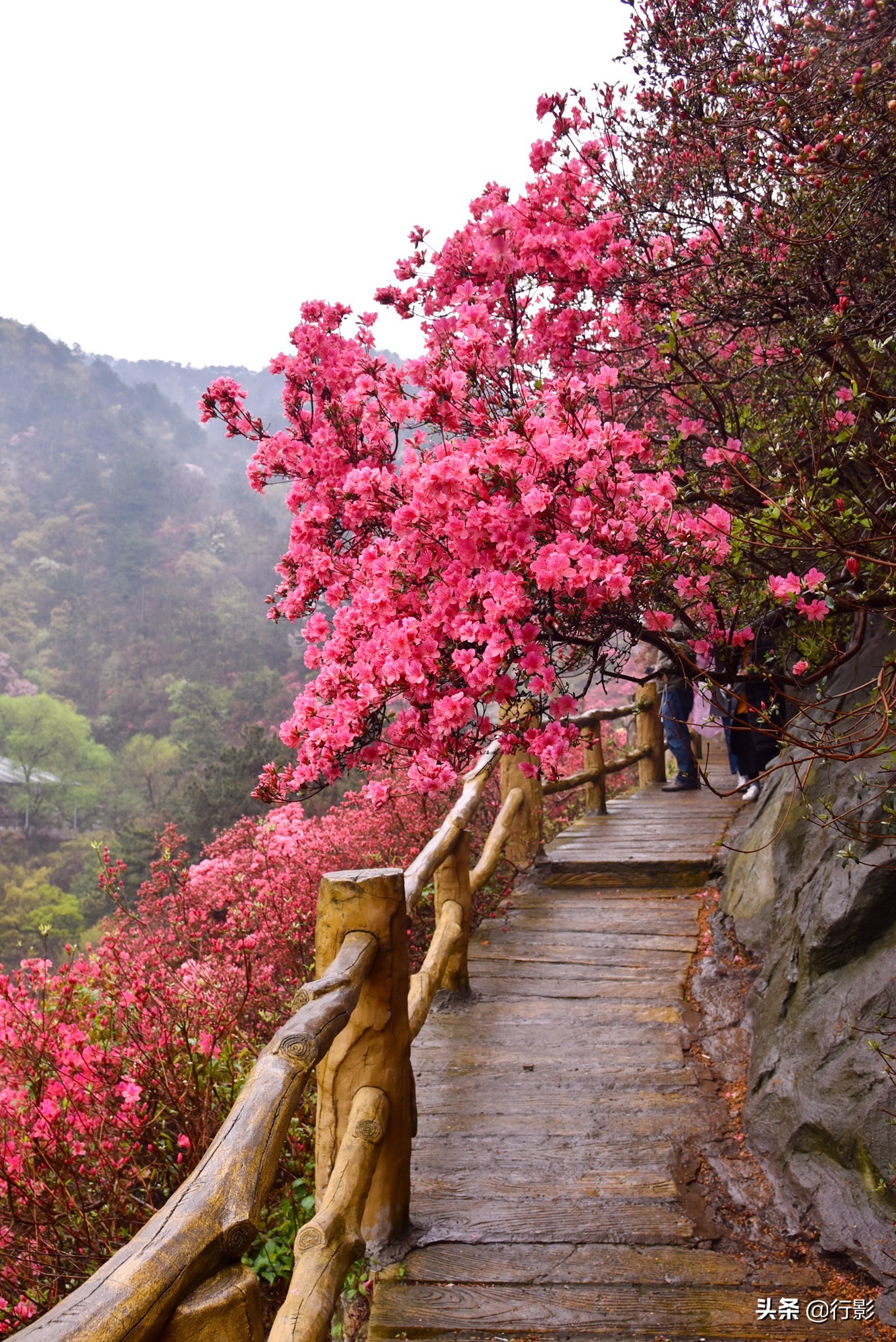 武汉云雾山风景区有什么好玩的,武汉云雾山游玩攻略