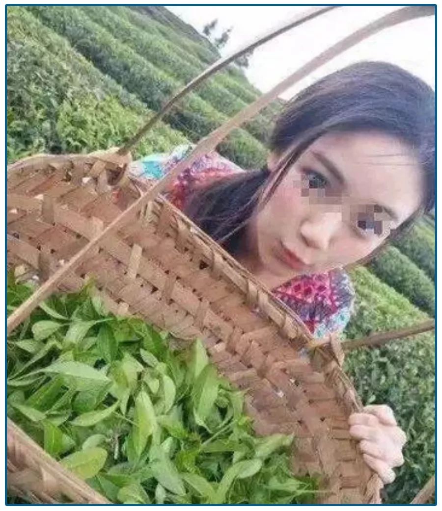 婚恋网交友遇上杀猪盘能破案吗,婚恋网站的骗子手段