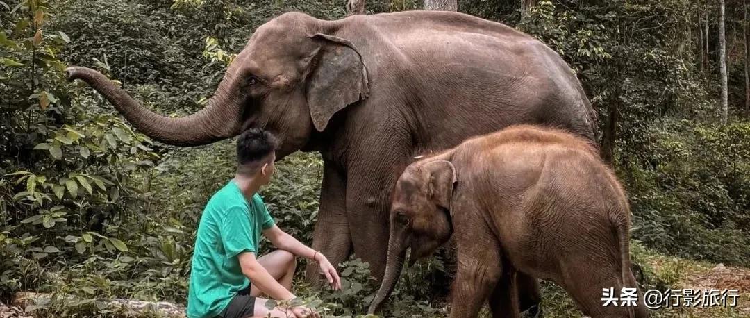 云南西双版纳地方介绍,云南西双版纳旅游简介