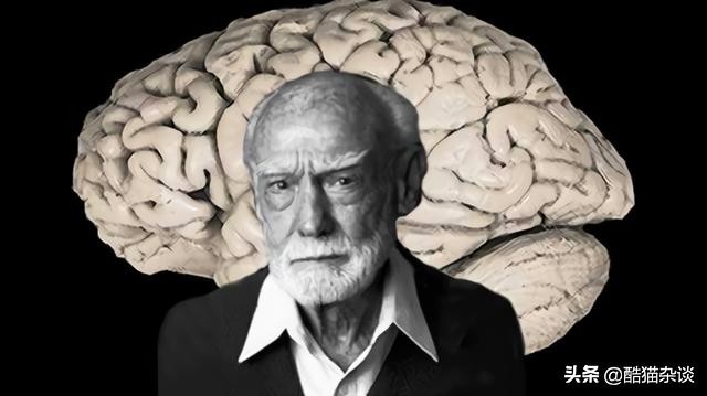 人脑左脑右脑功能,意识产生于大脑哪个部位