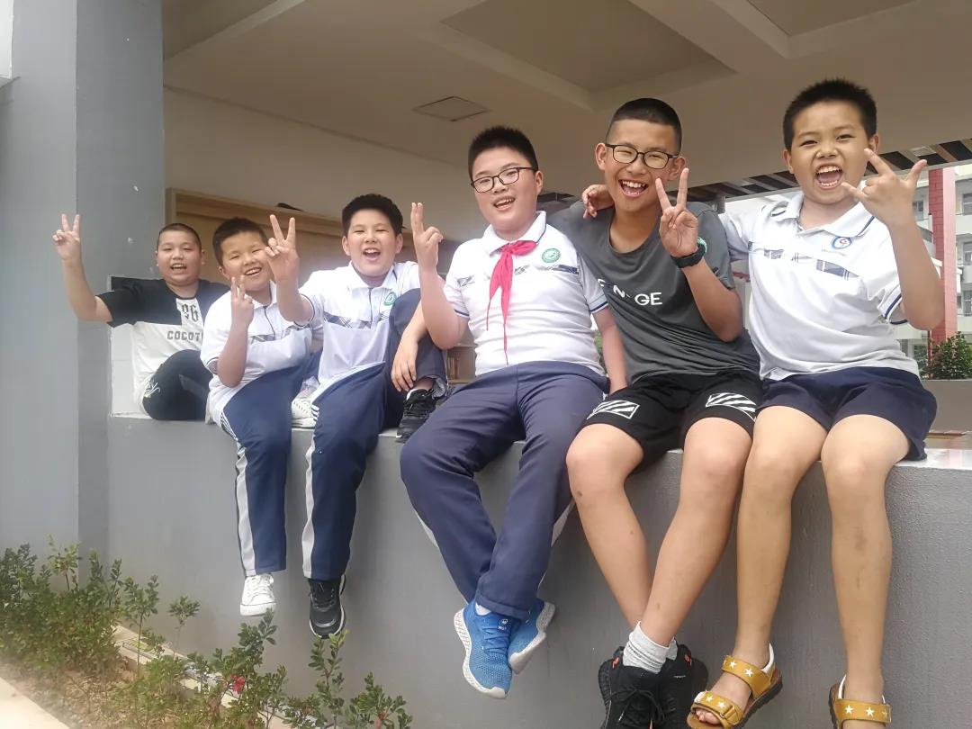 小学教师教学案例随笔,小学语文课教学述评优秀案例范文