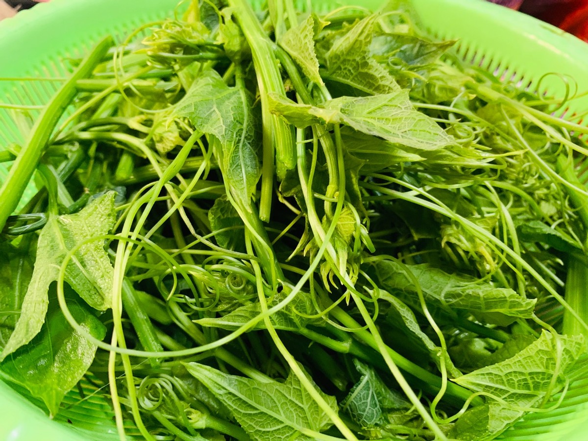 谷雨前,遇见这“瓜苗”多买点,5块钱买一大捆,爽口又下饭