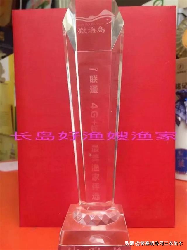 长岛值得去的渔家乐,长岛美丽的海岛