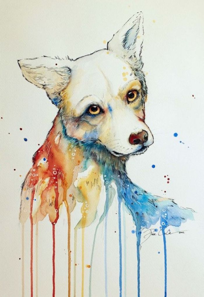 股票历史起源探秘