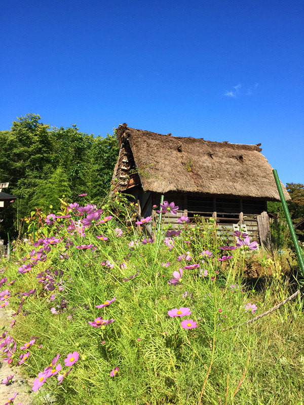 五天四夜日本邮轮游,名古屋四日自由行攻略