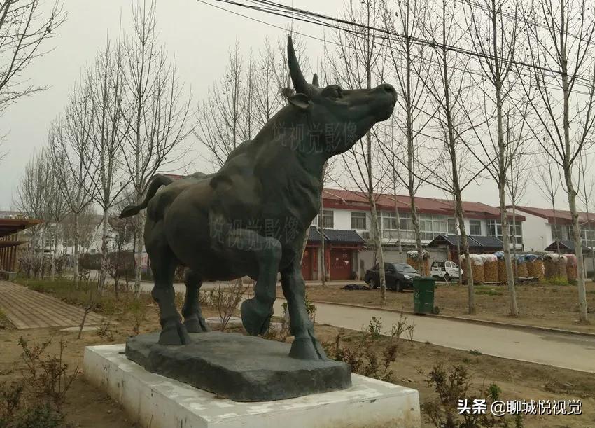 茌平“菜瓜打金牛”，王菜瓜啥也没得到，罗家园落下金牛角