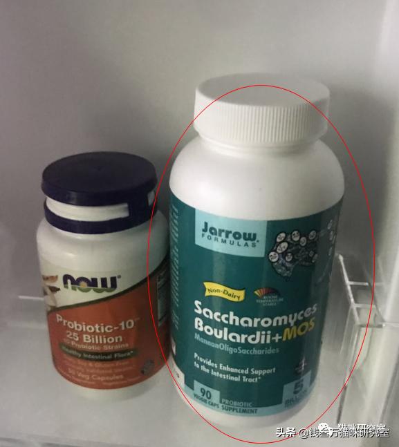 小猫拉稀原因分析,小猫跑肚拉稀怎么办最快最有效