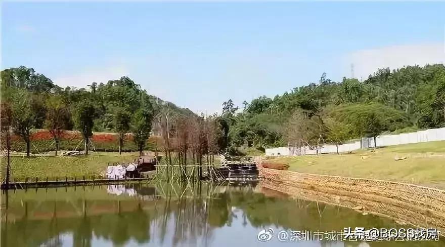 深圳再添一座新地标,深圳未来新地标