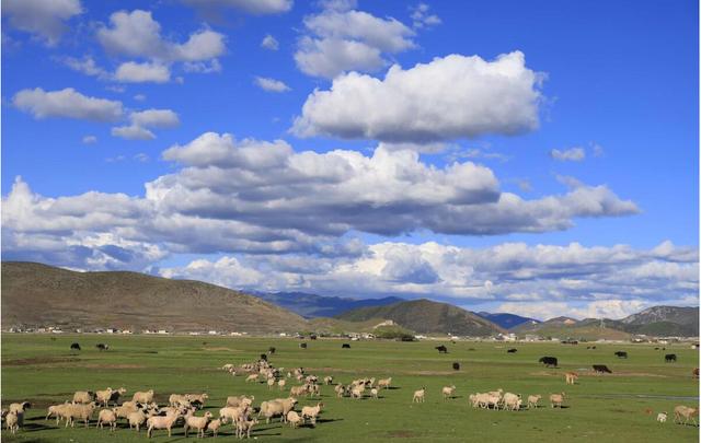 萨顶顶假唱转话筒事件结果,萨顶顶有实力为什么要假唱