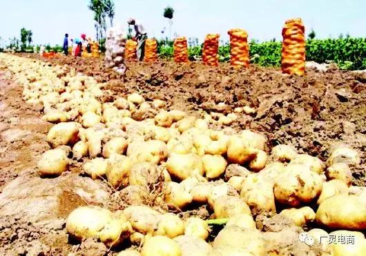 电商走进田间地头,电商扶贫进大山