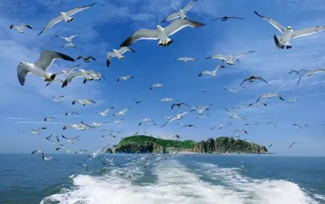 辽宁旅游景点推荐3天自由行,辽宁学生旅游景点推荐