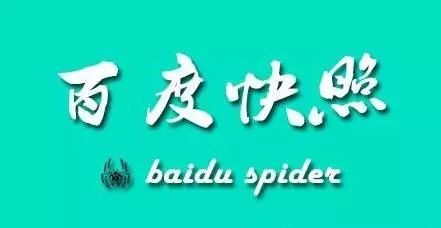 网页快照由哪些内容组成,网站快照有什么用