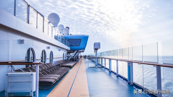 邮轮游选择哪个游轮好,邮轮旅游全攻略公主号