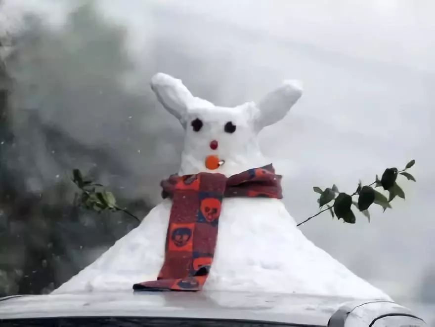 公园回应大妈路边卖雪,大妈卖雪5元一盆