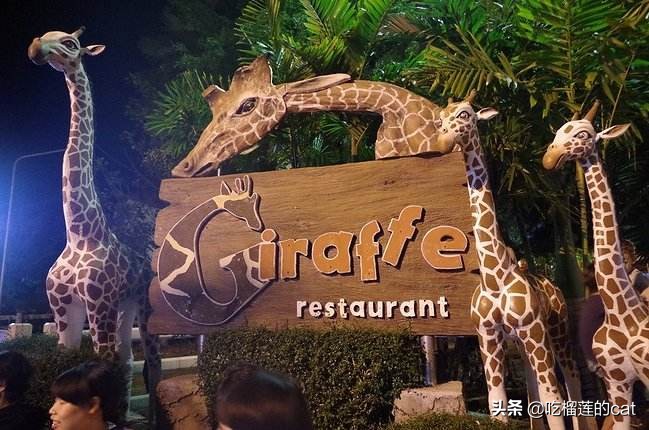 2019春节清迈自由行10大必去景点（泰北旅游景点/清莱景点推荐）