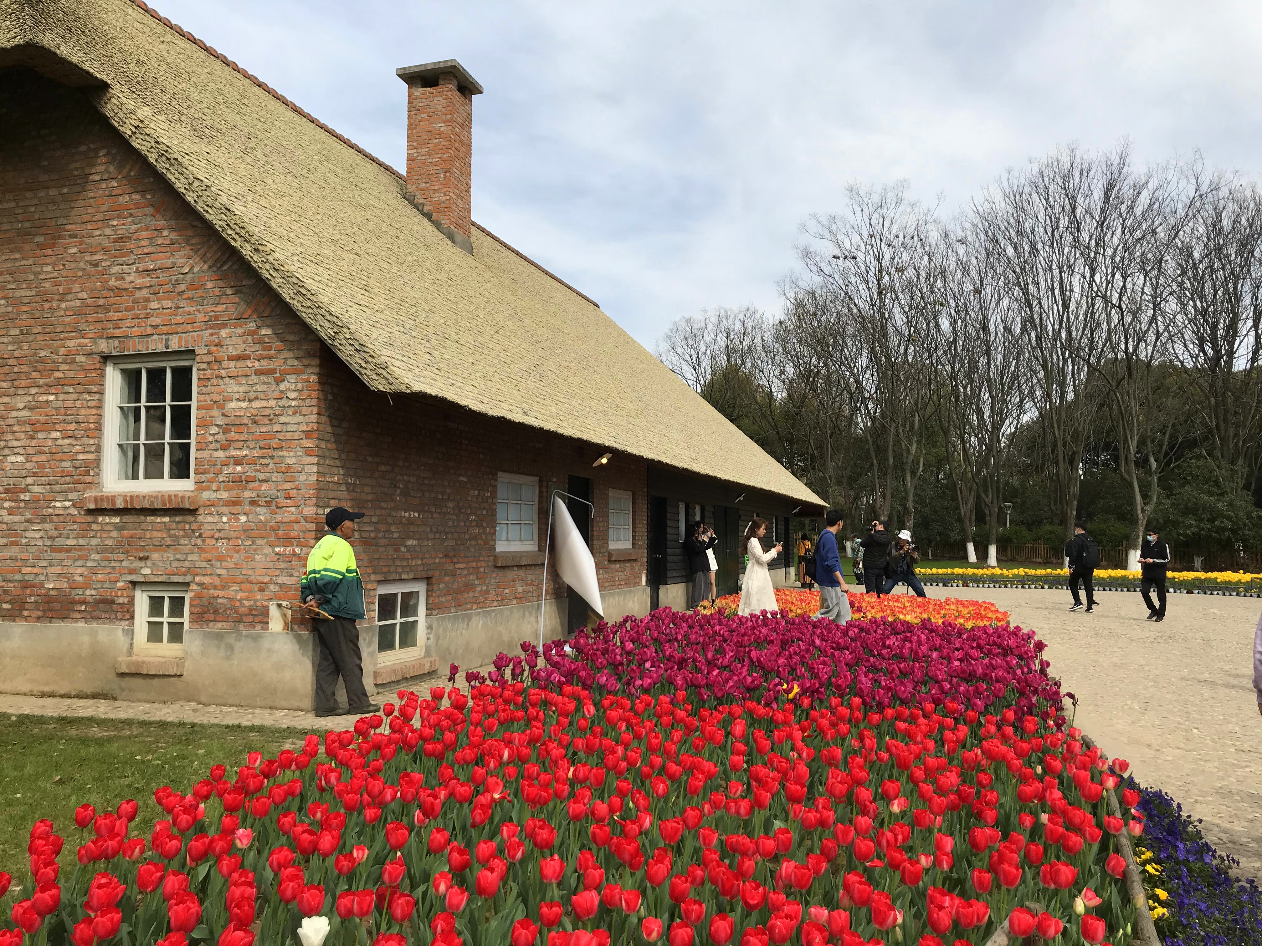 荷兰风情花园,南京绿博园的美丽