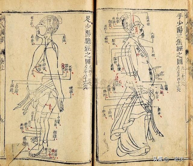 《说文解字》不仅是字典，还是上古知识的百科全书