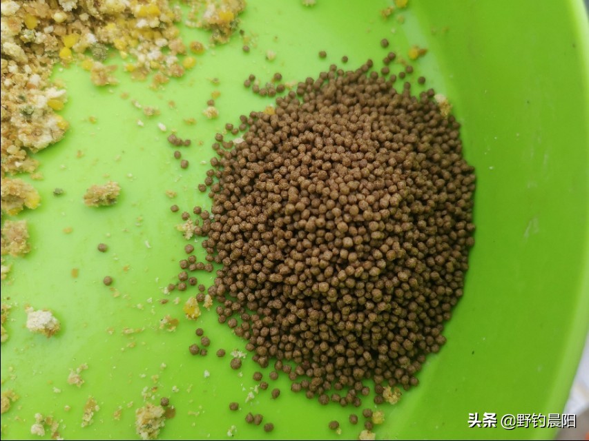 冬天钓点小杂鱼太多如何处理,野钓常遇的杂鱼冬天野钓小杂鱼多