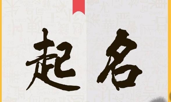 淘宝店铺名字怎么取比较好 (淘宝店铺名字怎么取有什么技巧)