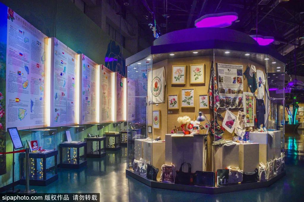 全球最美十大花海美到令人心醉,全球最漂亮花海